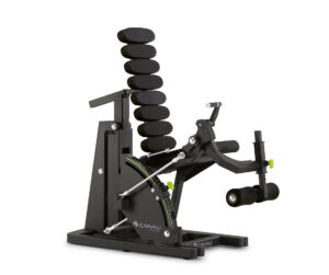 Leg Extension